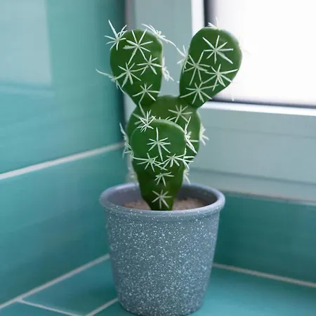 Konukevi Berry Cagliari